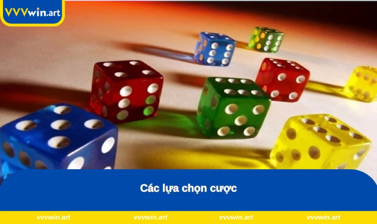 Các lựa chọn cược