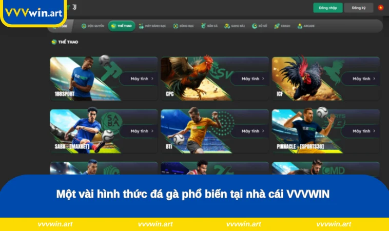 Một vài hình thức đá gà phổ biến tại nhà cái VVVWIN 